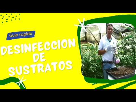 Como realizar la Desinfección de Sustratos para germinacion de semillas con Formol